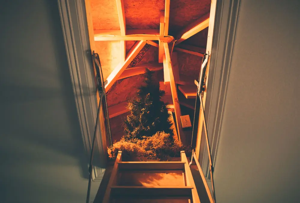 Attic Mold Removal Cost