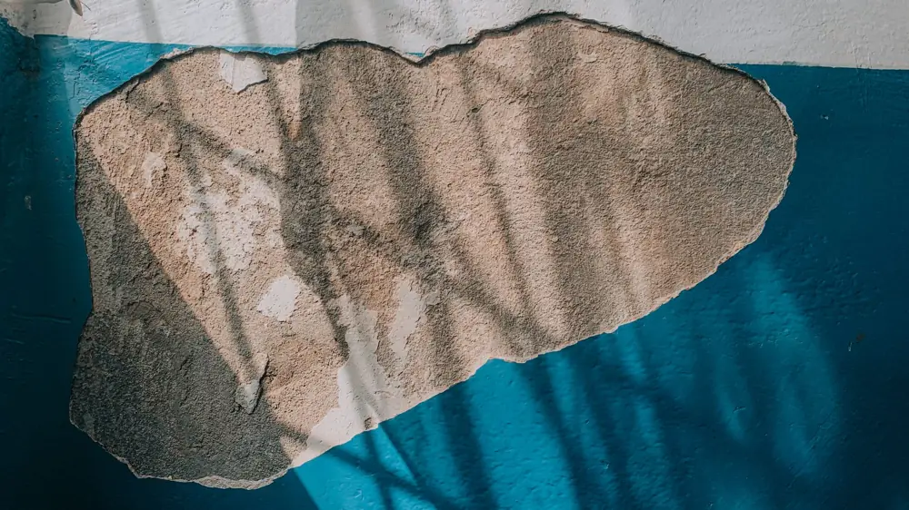 Basement Mold Removal Cost
