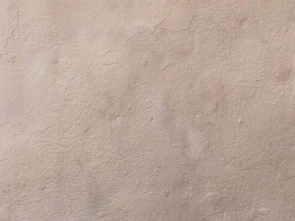 Black Mold Removal Cost