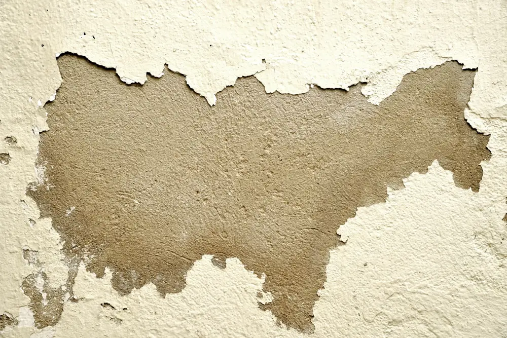 Ceiling Water Damage Repair Cost - Ceiling Water Damage Repair Cost Stains New York