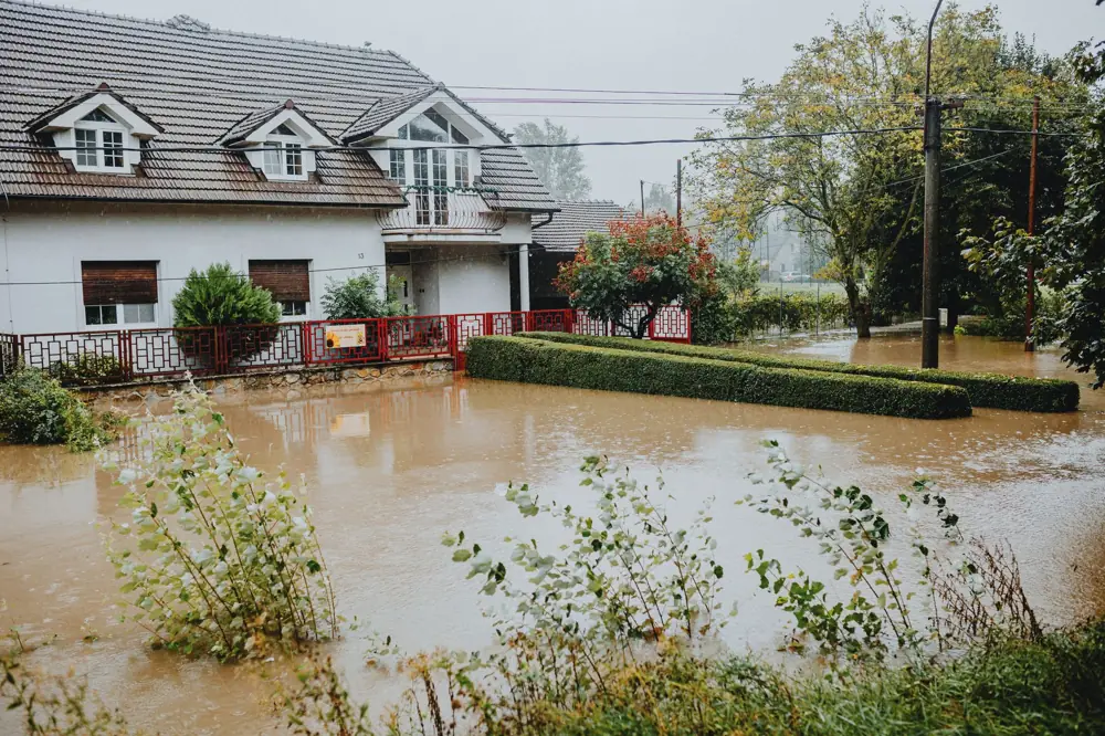 Hardwood Water Damage Repair