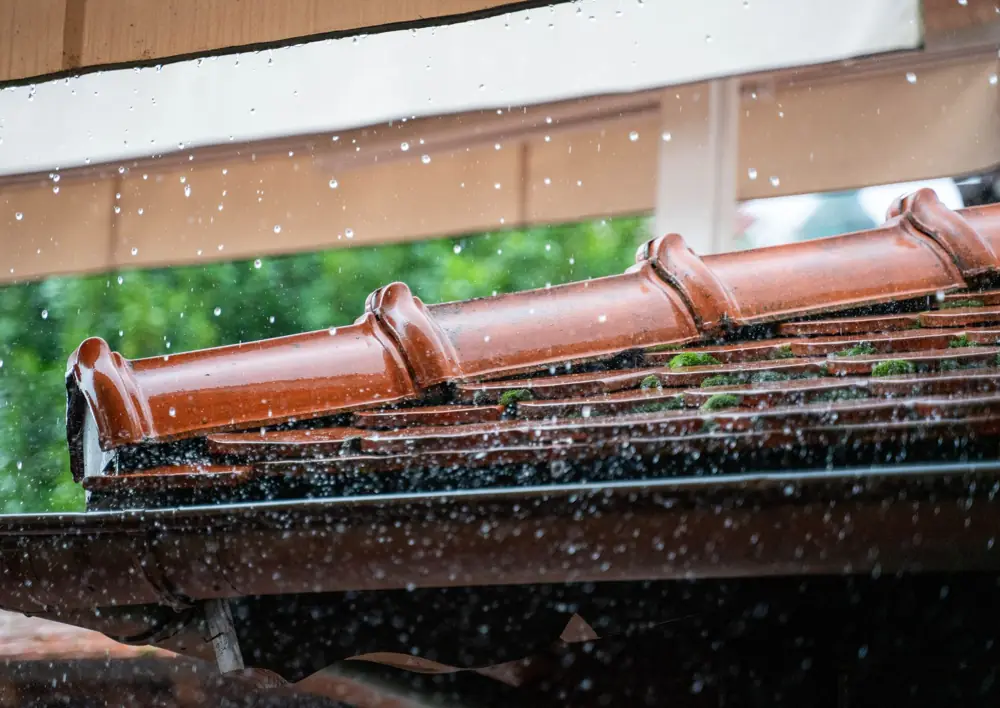 Interior Waterproofing Membrane Cost