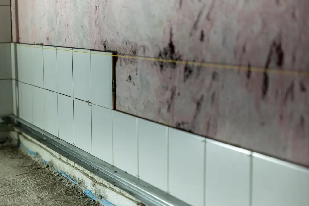 Mold Remediation After Flood - Mold Remediation Cost After Flood Insurance Texas
