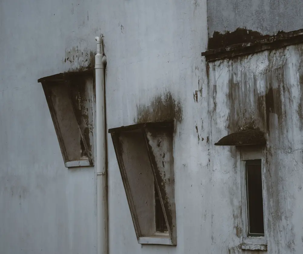 Mold Remediation After Flood