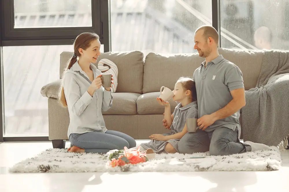 Basement Dehumidifier System Cost