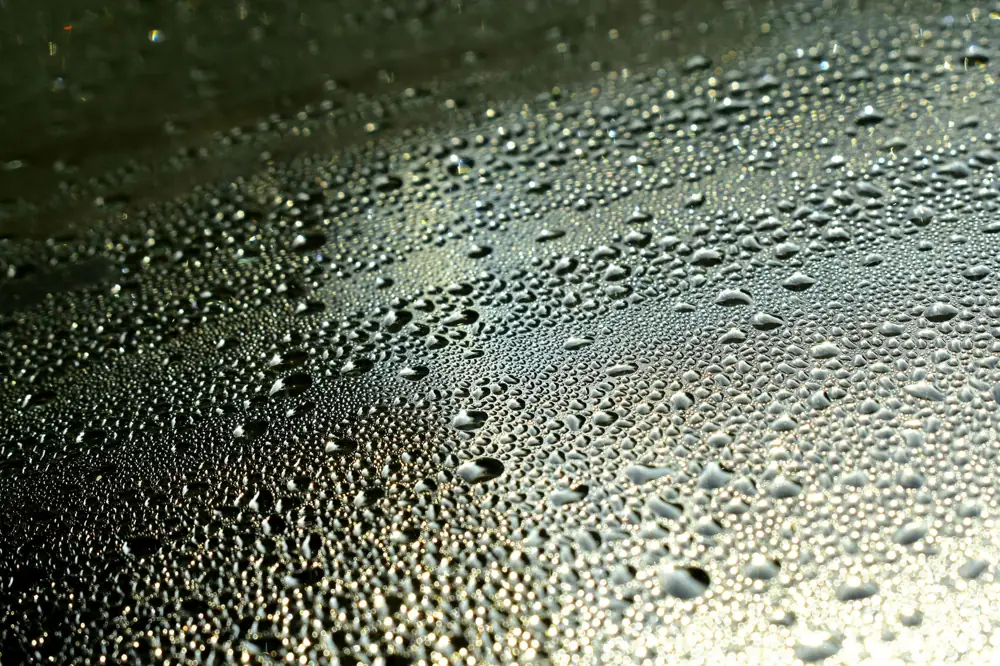 Basement Dehumidifier System Cost